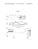 Modulation of Androgen Receptor for Treatment of Prostate Cancer diagram and image