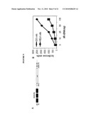 Modulation of Androgen Receptor for Treatment of Prostate Cancer diagram and image