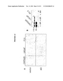 Modulation of Androgen Receptor for Treatment of Prostate Cancer diagram and image