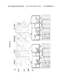 Modulation of Androgen Receptor for Treatment of Prostate Cancer diagram and image