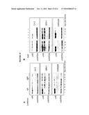 Modulation of Androgen Receptor for Treatment of Prostate Cancer diagram and image