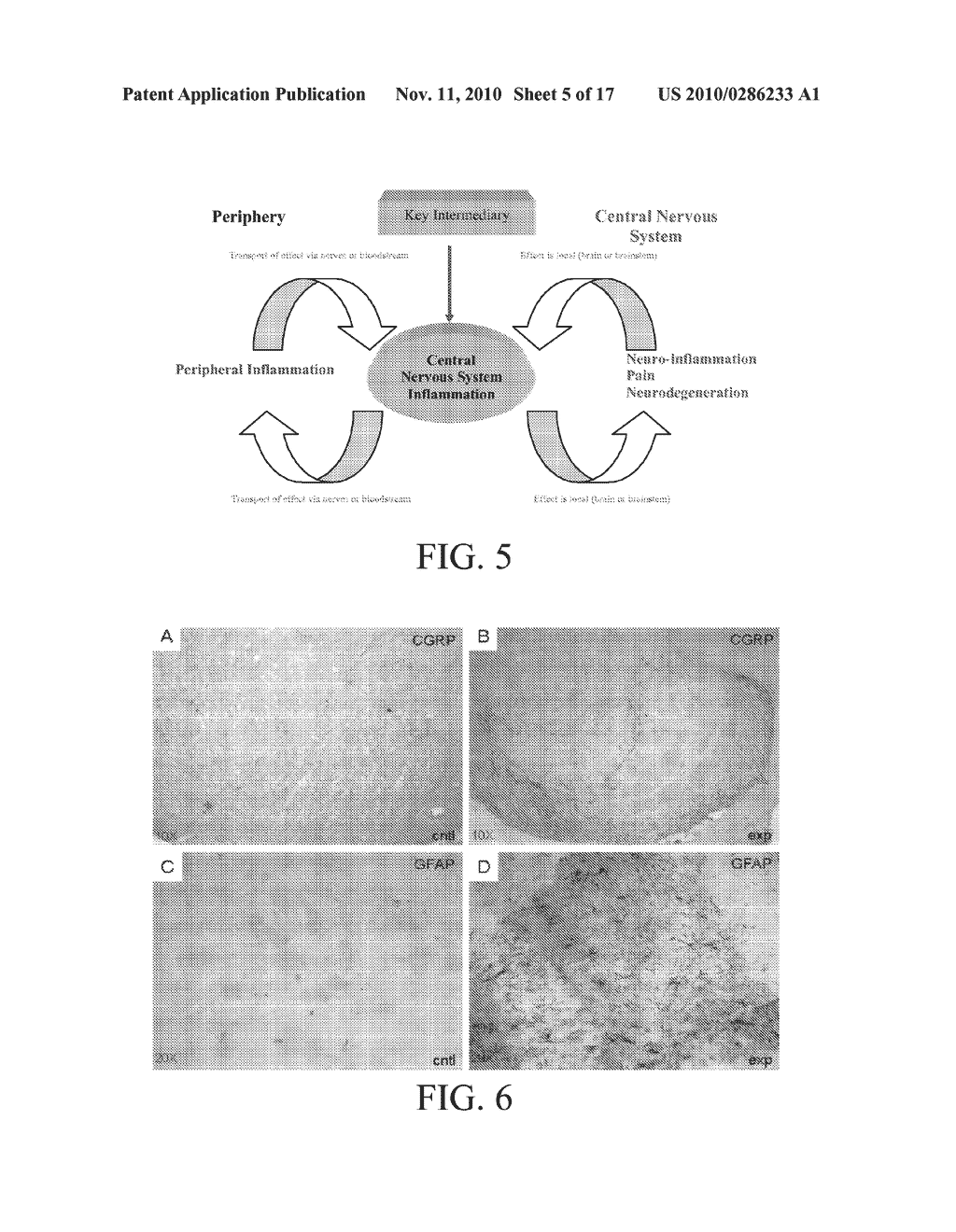 PERIPHERAL AND NEURAL INFLAMMATORY CROSSTALK - diagram, schematic, and image 06