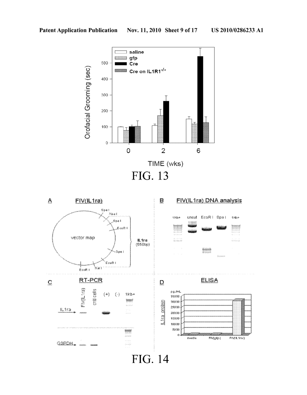 PERIPHERAL AND NEURAL INFLAMMATORY CROSSTALK - diagram, schematic, and image 10