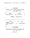 PERIPHERAL AND NEURAL INFLAMMATORY CROSSTALK diagram and image