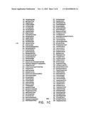 Dosage of oligonucleotides suitable for the treatment of tumors diagram and image