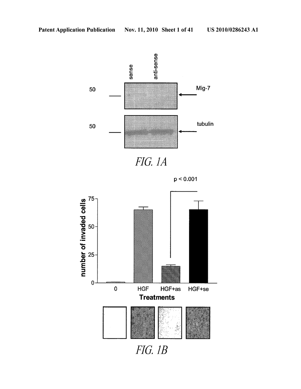 MIG-7 AS A SPECIFIC ANTICANCER TARGET - diagram, schematic, and image 02