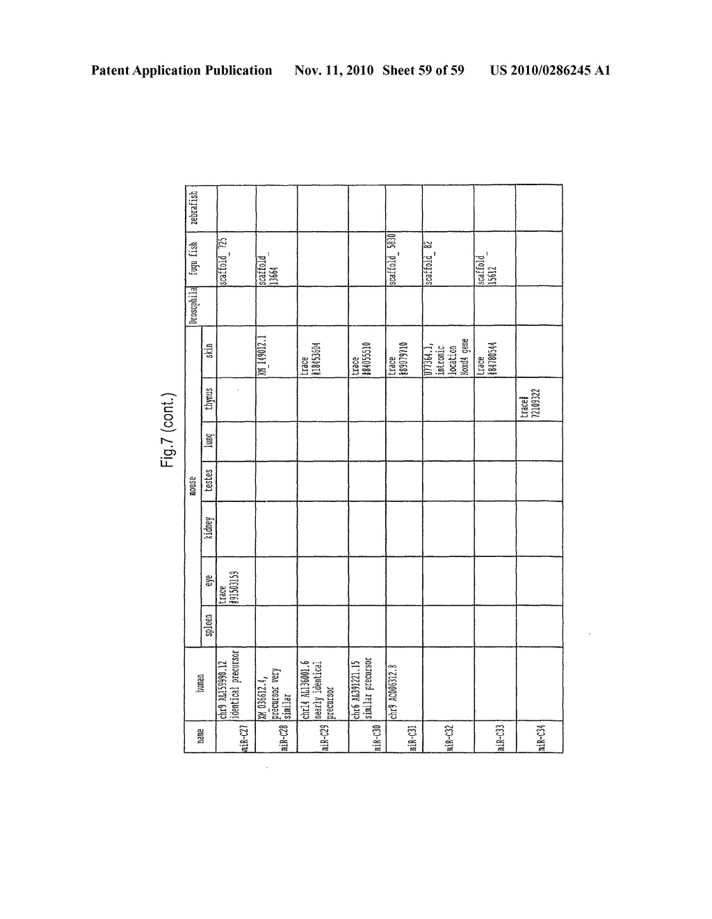 IDENTIFICATION OF NOVEL GENES CODING FOR SMALL TEMPORAL RNAS - diagram, schematic, and image 60