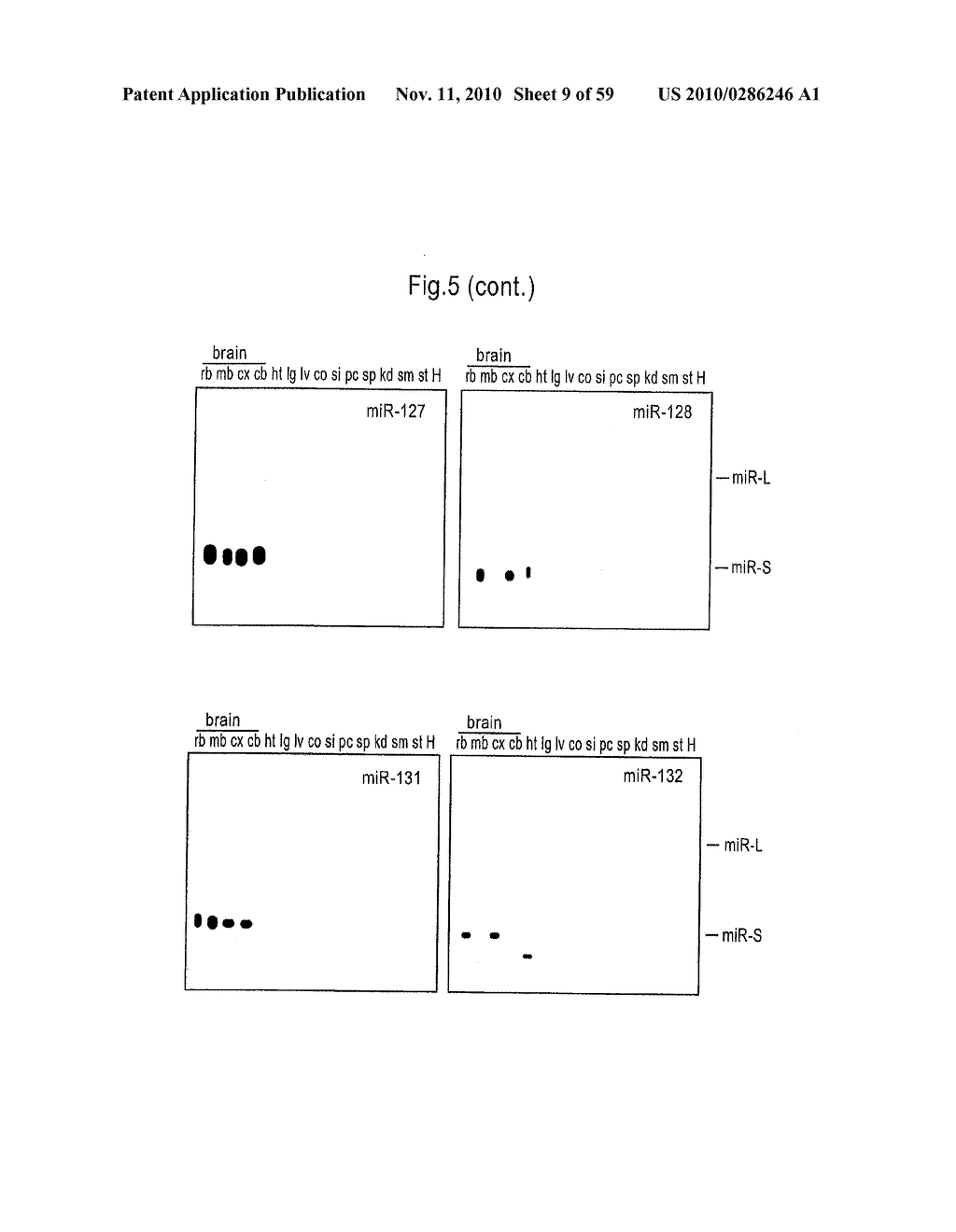 IDENTIFICATION OF NOVEL GENES CODING FOR SMALL TEMPORAL RNAS - diagram, schematic, and image 10