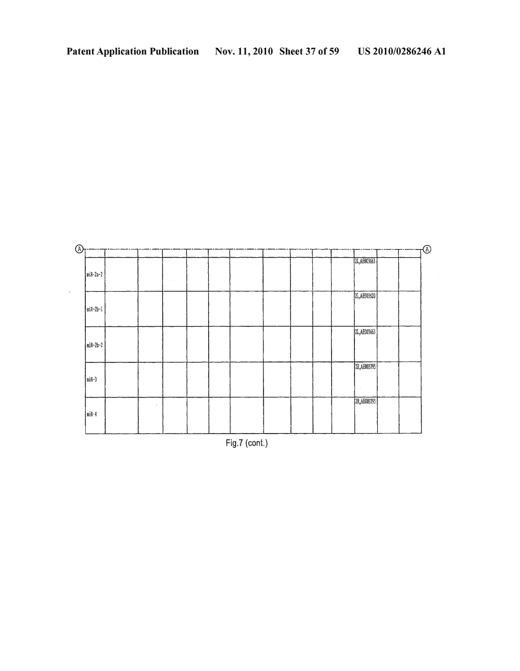 IDENTIFICATION OF NOVEL GENES CODING FOR SMALL TEMPORAL RNAS - diagram, schematic, and image 38