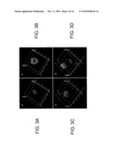 FLUORINATED LIPIDS AND METHODS OF USE diagram and image