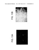 FLUORINATED LIPIDS AND METHODS OF USE diagram and image