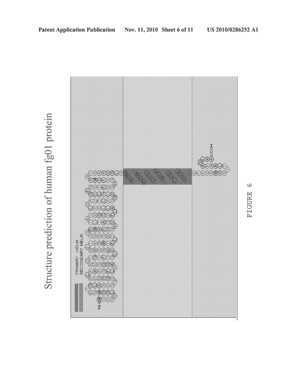 HUMAN FG01 GENE AND ITS APPLICATIONS - diagram, schematic, and image 07