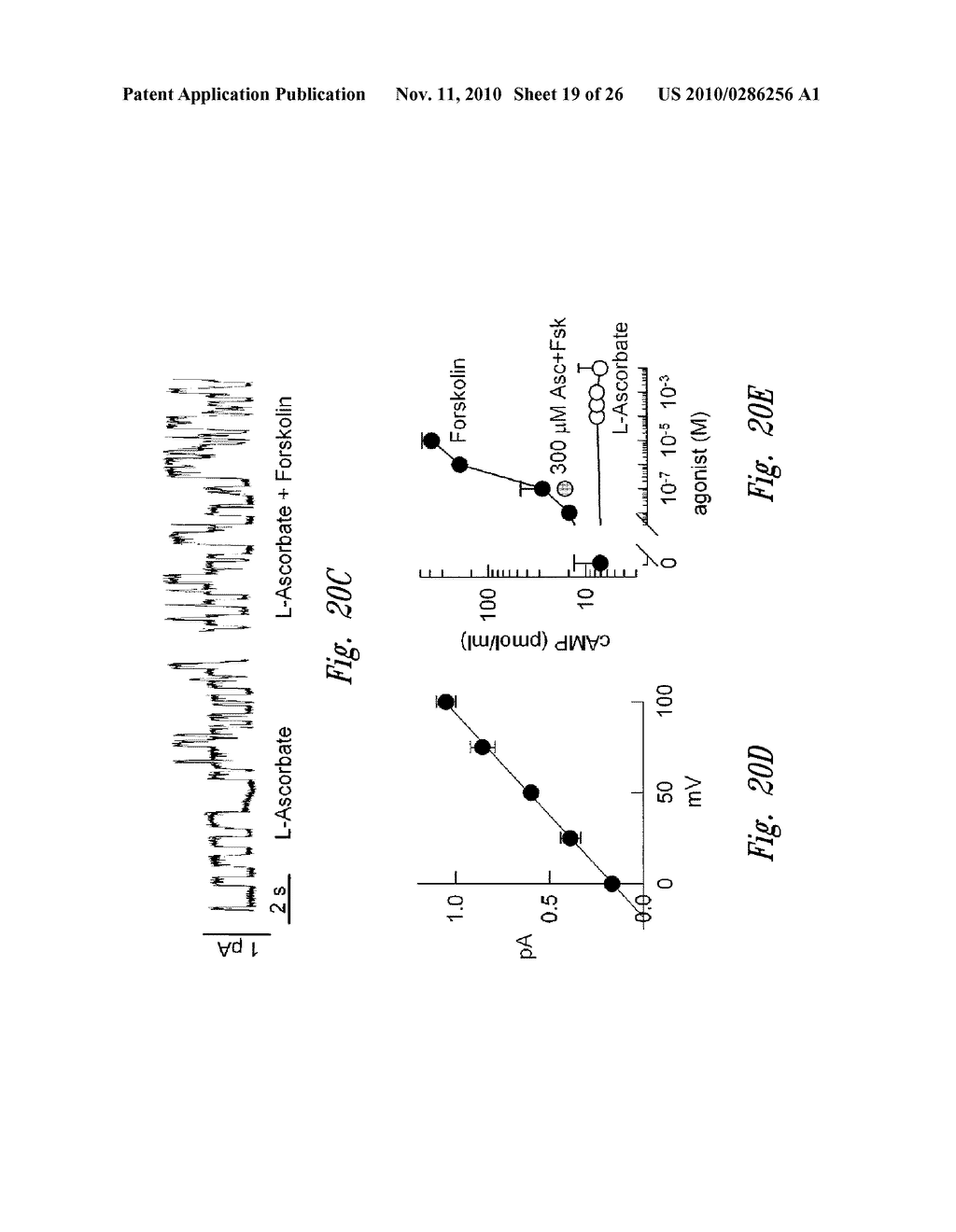 COMPOSITIONS AND METHODS FOR THERAPY FOR DISEASES CHARACTERIZED BY DEFECTIVE CHLORIDE TRANSPORT - diagram, schematic, and image 20