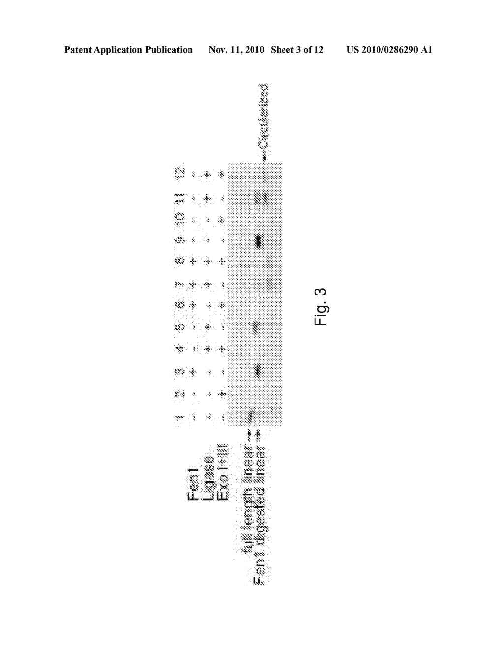 ENZYME ACTIVITY ASSAY USING ROLLING CIRCLE AMPLIFICATION - diagram, schematic, and image 04