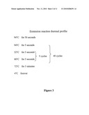 MULTIPLEX DETECTION OF HEPATITIS VIRUS VARIATIONS diagram and image