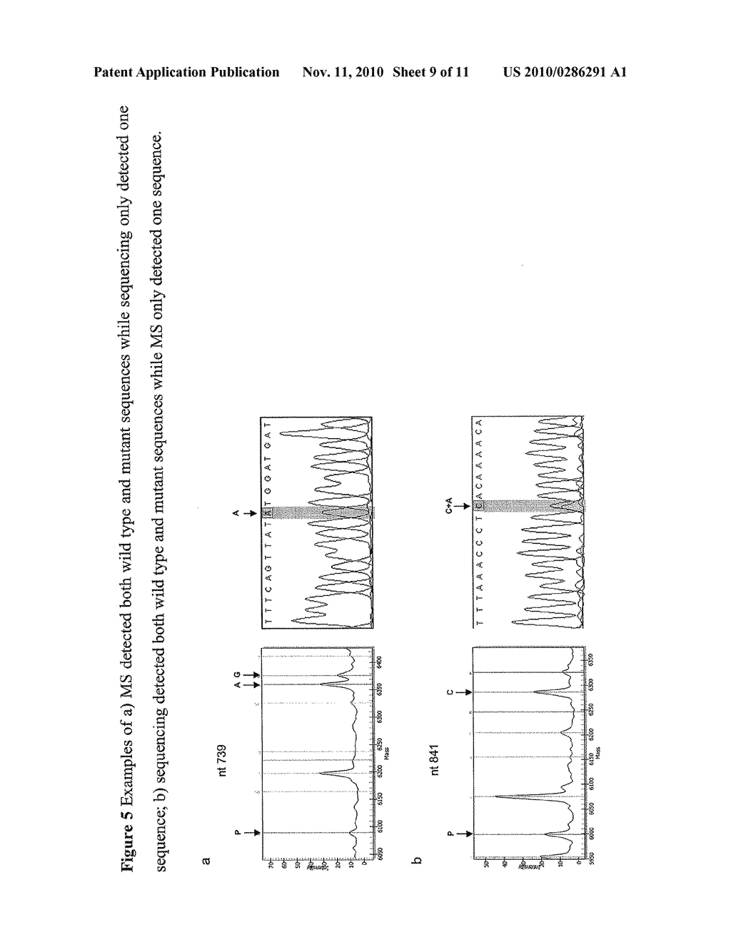 MULTIPLEX DETECTION OF HEPATITIS VIRUS VARIATIONS - diagram, schematic, and image 10