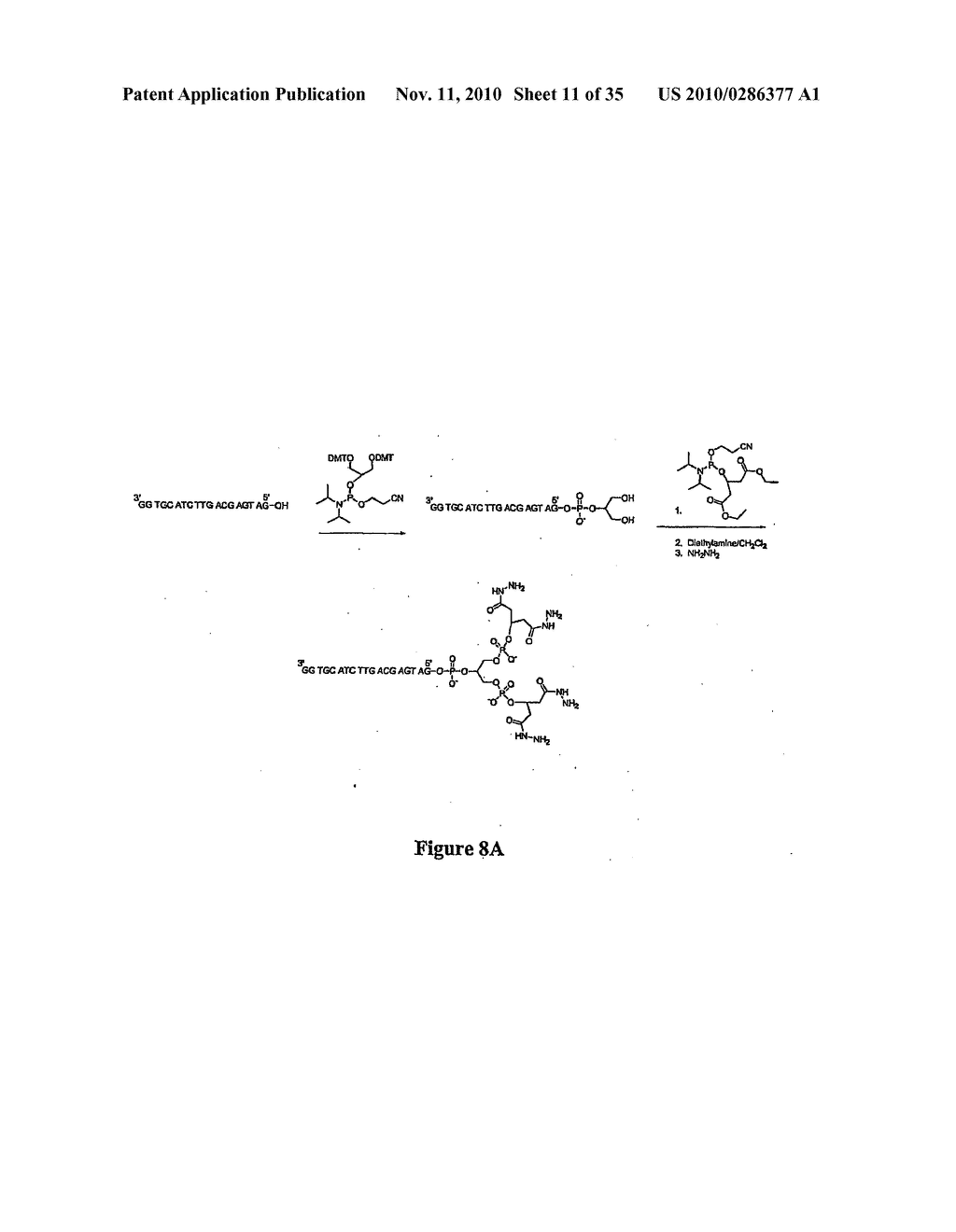 BIOMOLECULES HAVING MULTIPLE ATTACHMENT MOIETIES FOR BINDING TO A SUBSTRATE SURFACE - diagram, schematic, and image 12