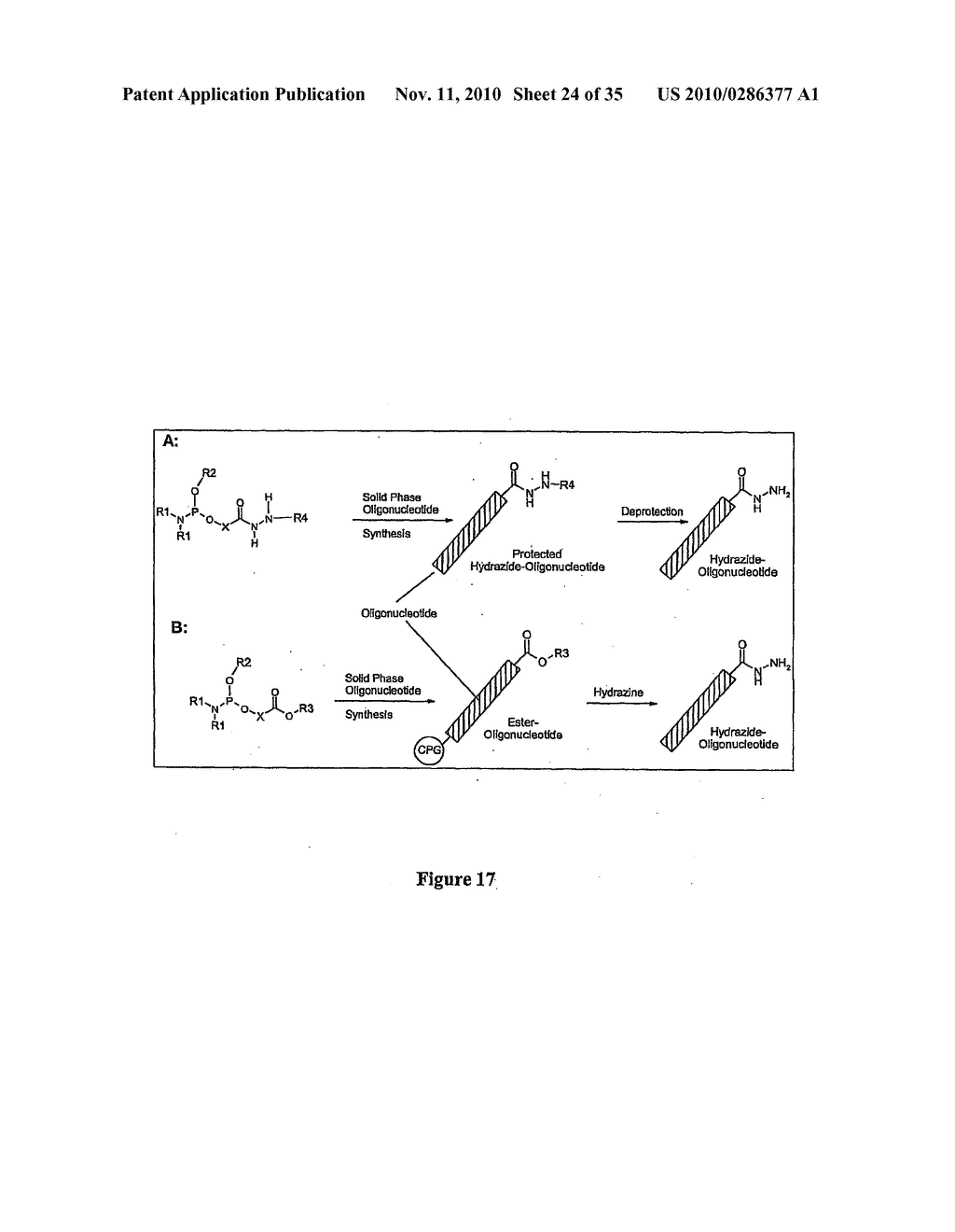 BIOMOLECULES HAVING MULTIPLE ATTACHMENT MOIETIES FOR BINDING TO A SUBSTRATE SURFACE - diagram, schematic, and image 25