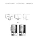 CONTRAST ENHANCEMENT BETWEEN LINEAR AND NONLINEAR SCATTERERS diagram and image