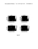 CONTRAST ENHANCEMENT BETWEEN LINEAR AND NONLINEAR SCATTERERS diagram and image