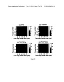 CONTRAST ENHANCEMENT BETWEEN LINEAR AND NONLINEAR SCATTERERS diagram and image