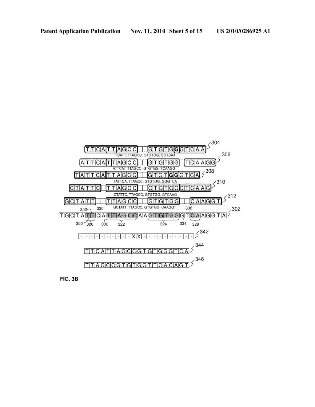 OLIGOMER SEQUENCES MAPPING - diagram, schematic, and image 06