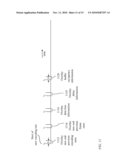 INFORMATIVE DATA STREAMING SERVER diagram and image