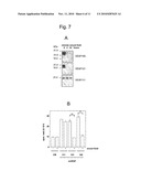 VEGF VARIANTS diagram and image