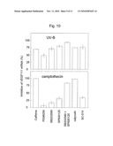 VEGF VARIANTS diagram and image