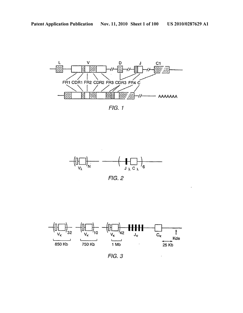 Transgenic Non-Human Animals For Producing Chimeric Antibodies - diagram, schematic, and image 02