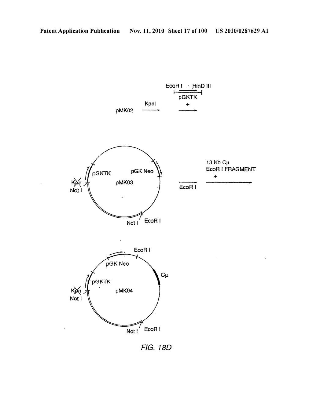 Transgenic Non-Human Animals For Producing Chimeric Antibodies - diagram, schematic, and image 18