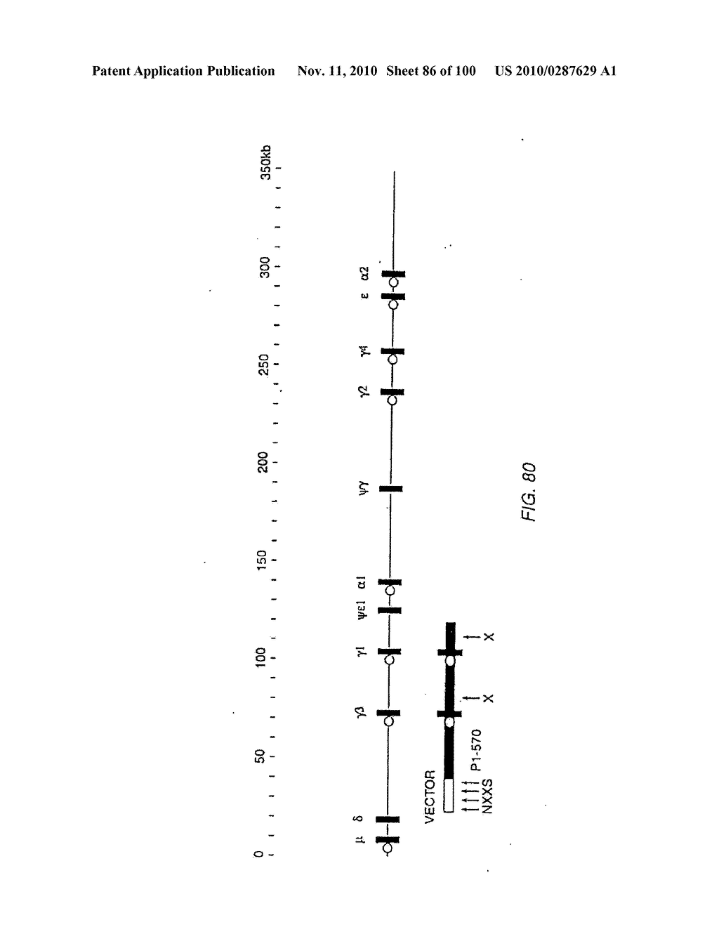 Transgenic Non-Human Animals For Producing Chimeric Antibodies - diagram, schematic, and image 87