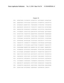 NUCLEOTIDE SEQUENCES MEDIATING PLANT MALE FERTILITY AND METHOD OF USING SAME diagram and image