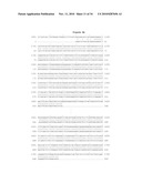 NUCLEOTIDE SEQUENCES MEDIATING PLANT MALE FERTILITY AND METHOD OF USING SAME diagram and image