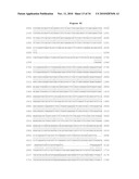 NUCLEOTIDE SEQUENCES MEDIATING PLANT MALE FERTILITY AND METHOD OF USING SAME diagram and image