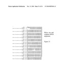 NUCLEOTIDE SEQUENCES MEDIATING PLANT MALE FERTILITY AND METHOD OF USING SAME diagram and image