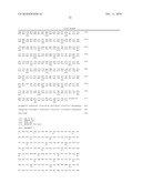 NUCLEOTIDE SEQUENCES MEDIATING PLANT MALE FERTILITY AND METHOD OF USING SAME diagram and image