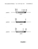 Modification of Lignin Biosynthesis Via Sense Suppression diagram and image