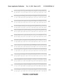 Modification of Lignin Biosynthesis Via Sense Suppression diagram and image