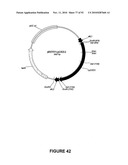 Modification of Lignin Biosynthesis Via Sense Suppression diagram and image