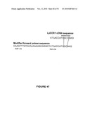 Modification of Lignin Biosynthesis Via Sense Suppression diagram and image