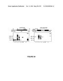 Modification of Lignin Biosynthesis Via Sense Suppression diagram and image