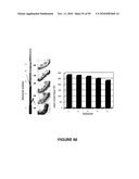 Modification of Lignin Biosynthesis Via Sense Suppression diagram and image