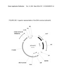 PLANT CELL SIGNALING GENES diagram and image