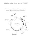 PLANT CELL SIGNALING GENES diagram and image