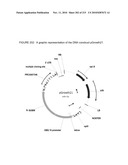 PLANT CELL SIGNALING GENES diagram and image