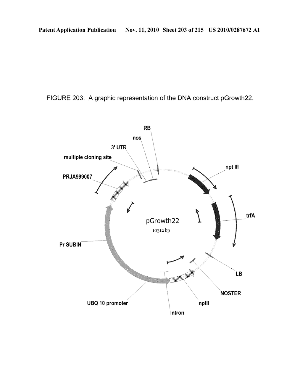 PLANT CELL SIGNALING GENES - diagram, schematic, and image 204