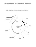 PLANT CELL SIGNALING GENES diagram and image