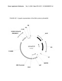 PLANT CELL SIGNALING GENES diagram and image