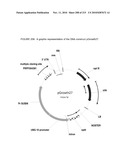 PLANT CELL SIGNALING GENES diagram and image